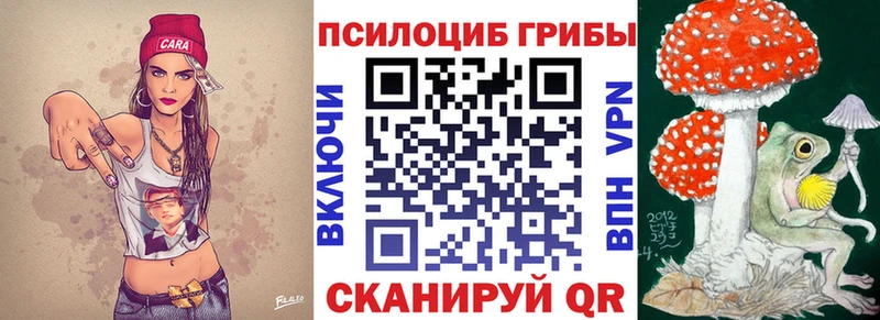закладка  kraken зеркало  Галлюциногенные грибы Psilocybine cubensis  Владикавказ 